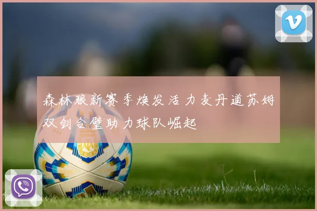 森林狼新赛季焕发活力麦丹道苏姆双剑合璧助力球队崛起