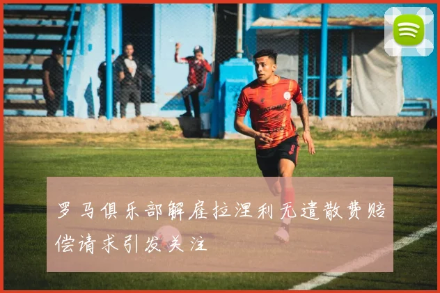 罗马俱乐部解雇拉涅利无遣散费赔偿请求引发关注